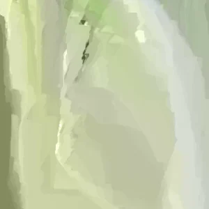 Organic Lemongrass Leaves Fresh Cut - 1 lb Edible Herb for Tea & Cooking - Image 1