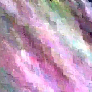 2 lbs Fresh Organic Papaya Leaves Hand Picked - Lá Đu Đủ - Image 2