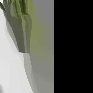 Lemongrass Seeds Cymbopogon Flexuosus - Organic Herb Seeds - 150+ Seeds - Image 1