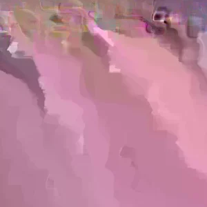 10 Chocolate Mint Live Plants - Culinary Herb Mentha Perennial for Garden - Image 1