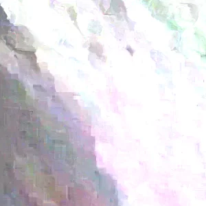 20 Longan Seeds - Sweet Dragon Eye Fruit Seeds for Tropical Climate Gardening - Image 1