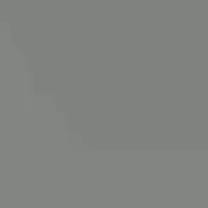 500+ Culantro Seeds - Mexican Coriander (Ngò Gai) - Annual Herb Seeds - Image 2