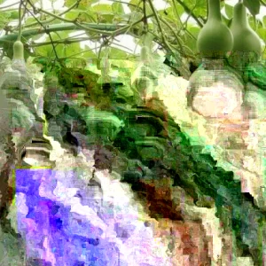 10 Martin Birdhouse Gourd Seeds - Heirloom Organic Non-GMO Vegetable Seeds - Image 3