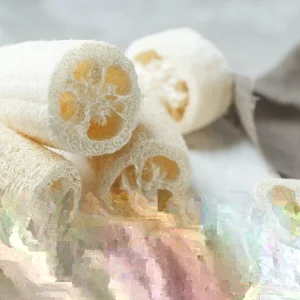 Organic Luffa Gourd Loofah Sponge Seeds - NON-GMO - Vegetable Seeds for Growing - Image 3