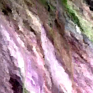 Epiphyllum Orchid Cactus Fresh Cutting Plant – 6-10 Inch – Cacti & Succulents - Image 8