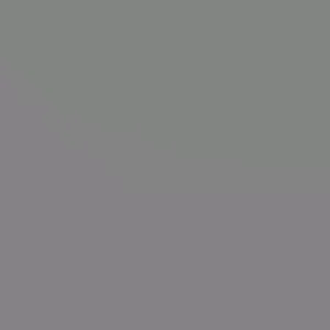 Organic Cilantro Coriander Seeds - Fresh New Season Herb Seeds - Image 3