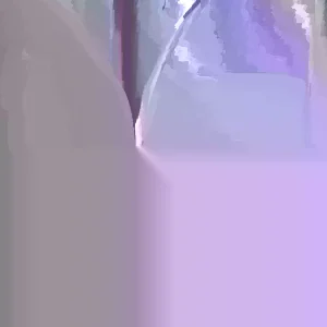 Pandan Plant Live - Pandanus Amaryllifolius Rooted Starter Plant - Fragrant Indoor/Outdoor Herb - Image 4