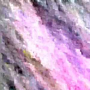 Organic Paan Piper Betel Live Plant - Herb Vine, Medicinal Uses, Trầu Không - Image 3