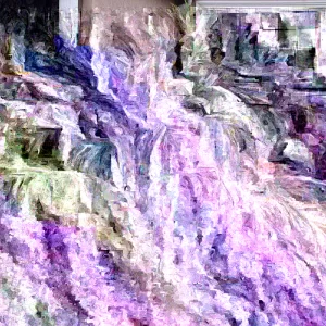 Pygmy Date Palm Seeds - Phoenix Roebelenii Fresh Seeds - Perennial Palm - Image 4