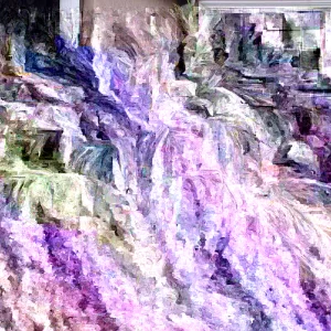 Pygmy Date Palm Seeds - Phoenix Roebelenii Fresh Seeds - Perennial Palm - Image 3