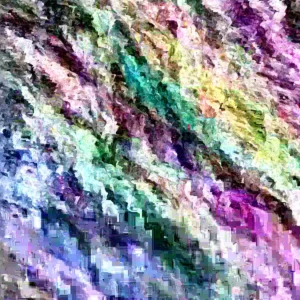 Sabara Jaboticaba Live Fruit Tree - 3ft & Up - Plinia cauliflora Outdoor - Image 3