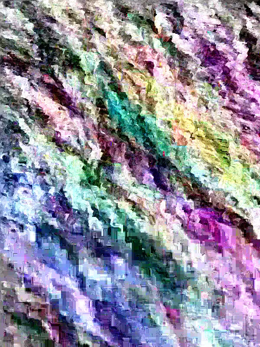 Sabara Jaboticaba Live Fruit Tree - 3ft & Up - Plinia cauliflora Outdoor - Image 3