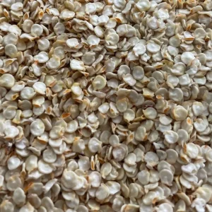 Seasoning Pepper Seeds - 60 Count, Aji Dulce Type for Sofrito - Image 2