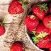 Sequoia Strawberry Plants - Bare Root - 5 to 1000 Count - Sweet Red Berries - Image 1