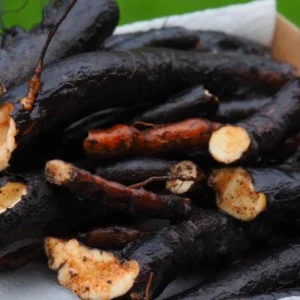 Set of 10 True Comfrey Plant Roots, Bocking 14 Variety, Perennial Herb, 4 Inch - Image 8