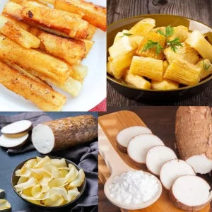 Set of 5 Cassava Yuca Cuttings - 3-5