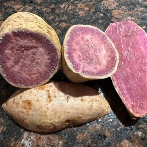 Set of 5 Purple Okinawa Sweet Potato Live Plants – Rooted Slips – Easy Grow Vine - Image 1