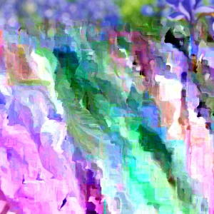 Siberian Iris Live Plant – Starter Plants – Set of 3 Well-Rooted Perennials – Outdoor - Image 2