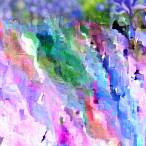 Siberian Iris Live Plant – Starter Plants – Set of 3 Well-Rooted Perennials – Outdoor - Image 3