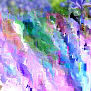 Siberian Iris Live Plant – Starter Plants – Set of 3 Well-Rooted Perennials – Outdoor - Image 4