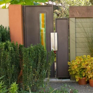 Sky Pencil Holly Live Plant – Evergreen Shrub – Quart Pot – 6-12 inch Tall – Outdoor - Image 6