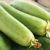 Smooth Luffa Gourd Seeds F1 Non-GMO Organic - Heat Tolerant Vegetable & Sponge - Image 1