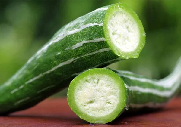 Snake Gourd Seeds - Heirloom Japanese Luffa for Edible Loofah - Non-GMO Vegetable Seeds - Image 5