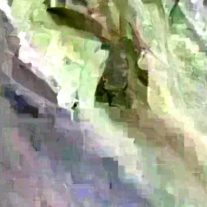 Soursop Tree Live Plant Annona Muricata Graviola Guanabana 18-25 inches Tall Tropical Outdoor - Image 2