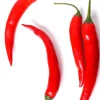 Spicy Pepper Seeds - 50 Count Packet - Grow Your Own Hot Peppers - Image 1