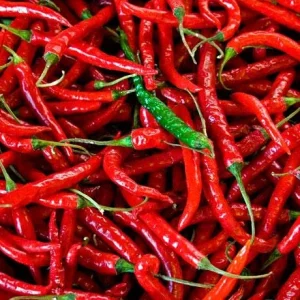 Spicy Pepper Seeds - 50 Count Packet - Grow Your Own Hot Peppers - Image 2