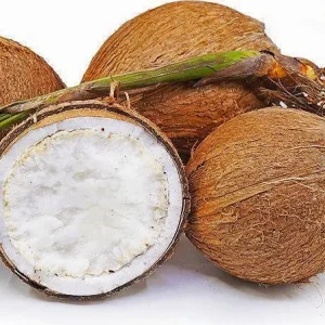 Sprouted Coconut Fruit - Unique Costa Rican Delicacy - 2 Count - Image 1