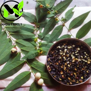 Star Gooseberry Leaves Seeds - Rau Bồ Ngót, Sweet Leaf Seeds for Planting - Image 1