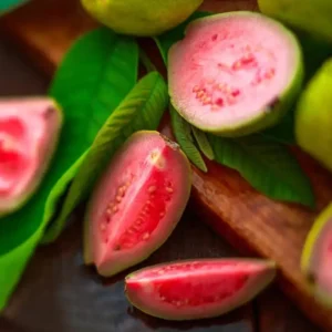 Strawberry Guava Tree Live Plant - Grafted Tropical Fruit Tree - Image 1