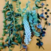 String Succulent Cuttings Collection - 10+ Trailing Varieties - Live Plants for Propagation - Image 1