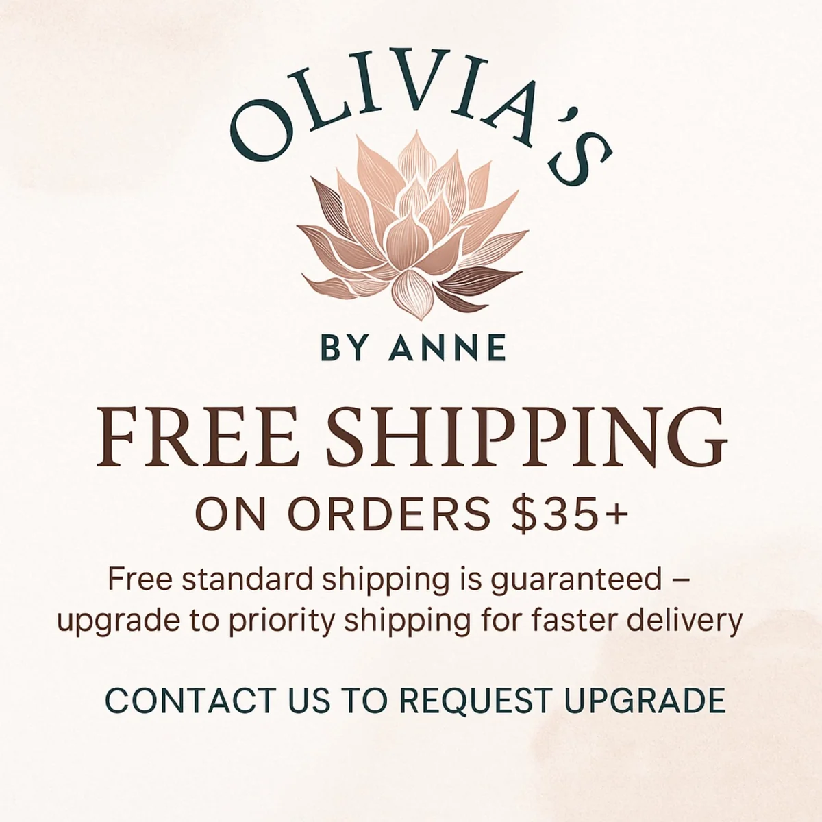 String Succulent Cuttings Collection - 10+ Trailing Varieties - Live Plants for Propagation - Image 5