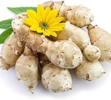 Sunchoke Tubers 4oz - Jerusalem Artichokes - Edible Root Vegetable - Image 1