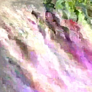 Surinam Cherry Live Plant Bush - 2ft Tall, 3 Gallon Pot - Outdoor Edible Fruit Tree - Image 3