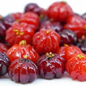 Surinam Cherry Live Plant (Pitanga) – Half Gallon Pot – Edible Fruit Shrub - Image 1