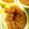 Sweet Granadilla Yellow Passion Fruit Seeds (Passiflora ligularis) Climber Vine - Image 1