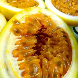 Sweet Granadilla Yellow Passion Fruit Seeds (Passiflora ligularis) Climber Vine - Image 1