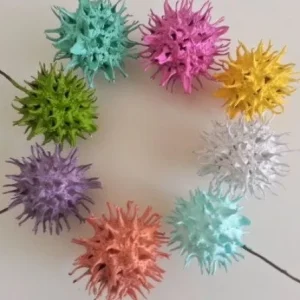Sweet Gum Balls - Natural Pods for Crafts, Weddings, Decor, & Planting - Image 4