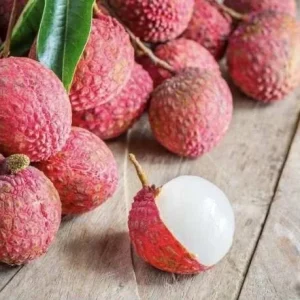 Sweet Lychee Live Plant - Air-layered Fruit Tree, 2 Feet Tall - Outdoor Tropical Edible - Image 7