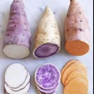 Sweet Potato Slips Variety Pack - 15 Cuttings - Red Japanese, Okinawa, Beauregard - Image 1