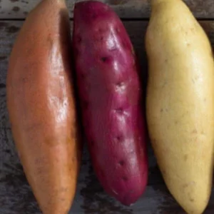 Sweet Potato Slips Variety Pack - 15 Live Slips (Beauregard, Japanese White, Purple) for Planting - Image 5