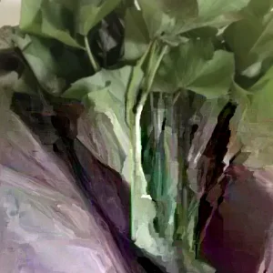 Sweet Potato Slips Variety Pack - 20 Live Cuttings (Purple, Okinawa, White, Orange) - Edible Garden Plants - Image 2