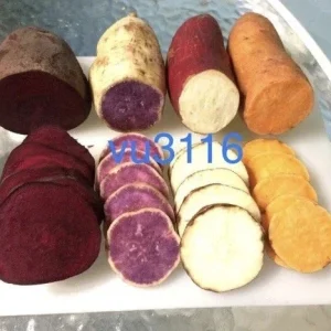 Sweet Potato Slips Variety Pack - 20 Slips: Purple, Okinawa, Japanese Red, Beauregard - Live Plants - Image 1