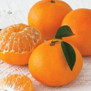 Tangerine Tree (Grafted) – Live Citrus Plant – 3 Gallon, 2-3 Feet Tall - Image 1