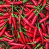 Thai Hot Pepper Seeds - Non-GMO Vegetable Seeds - Fast Growing, Edible - Image 1