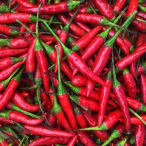 Thai Hot Pepper Seeds - Non-GMO Vegetable Seeds - Fast Growing, Edible - Image 1