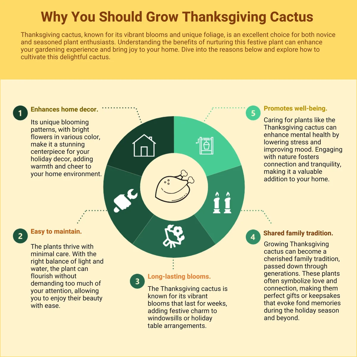 Thanksgiving Cactus Live Plant – Red Flowering Houseplant – 4 inch Pot - Image 9